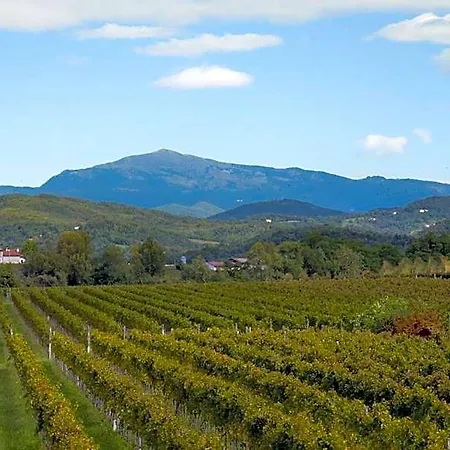 Agrituristico Corte San Biagio Corno di Rosazzo