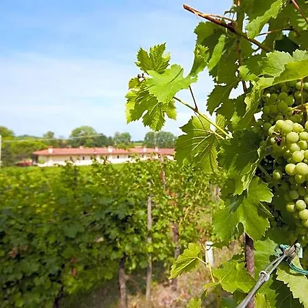 Agrituristico Corte San Biagio ベッド・アンド・ブレックファスト