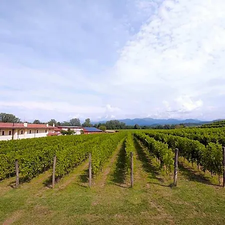 Agrituristico Corte San Biagio