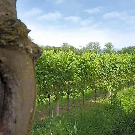 Agrituristico Corte San Biagio ベッド・アンド・ブレックファスト 4*