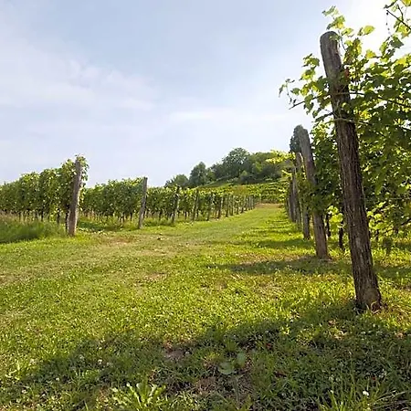 Agrituristico Corte San Biagio ベッド・アンド・ブレックファスト 4*