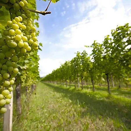 Agrituristico Corte San Biagio ベッド・アンド・ブレックファスト 4*