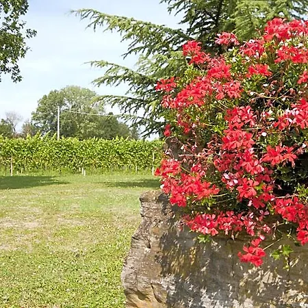 Agrituristico Corte San Biagio ベッド・アンド・ブレックファスト Corno di Rosazzo