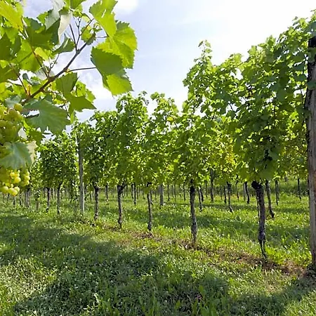 Agrituristico Corte San Biagio ベッド・アンド・ブレックファスト
