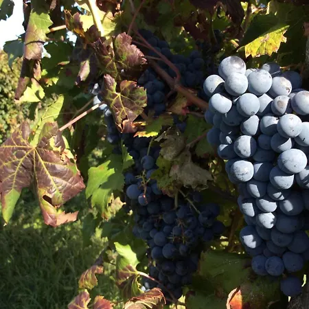 Agrituristico Corte San Biagio 4*