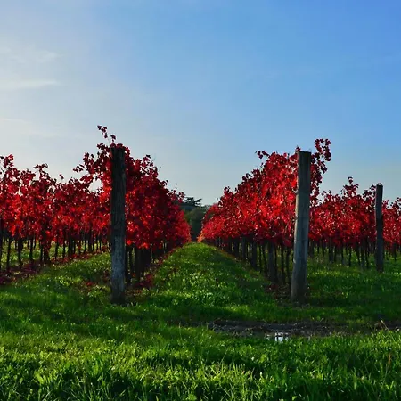 Frühstückspension Agrituristico Corte San Biagio 4*