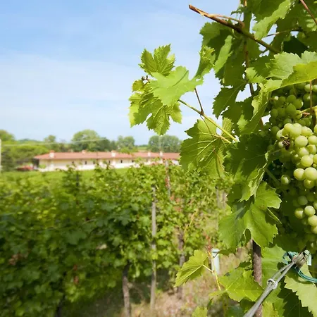 Frühstückspension Agrituristico Corte San Biagio 4*