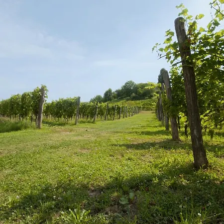 Agrituristico Corte San Biagio 4* Corno di Rosazzo