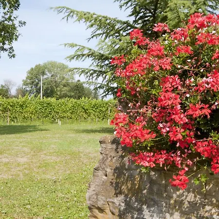 Agrituristico Corte San Biagio