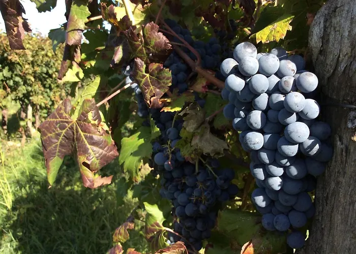 Agrituristico Corte San Biagio 4*