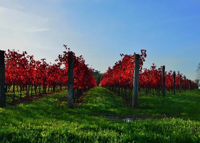 Bed & Breakfast Agrituristico Corte San Biagio 4*