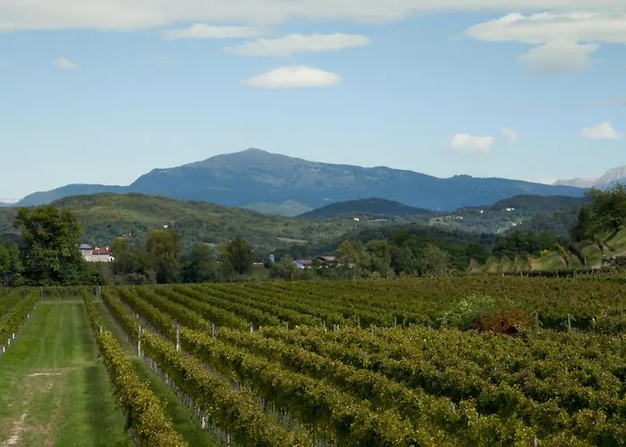 Bed & Breakfast Agrituristico Corte San Biagio 4*