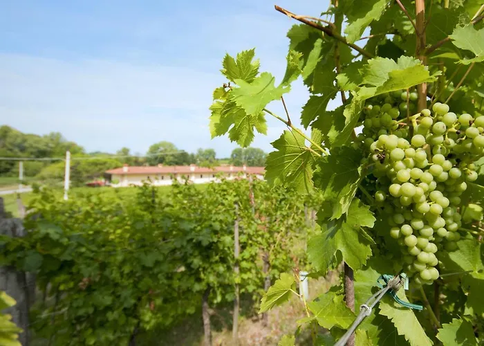 Bed & Breakfast Agrituristico Corte San Biagio 4*