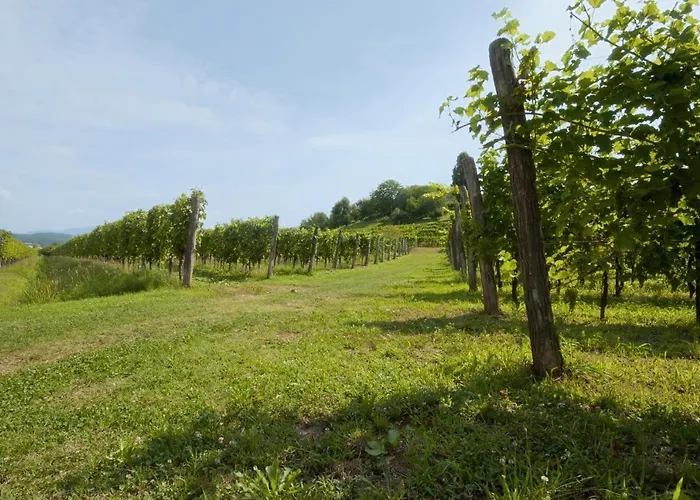 Agrituristico Corte San Biagio 4* Corno di Rosazzo