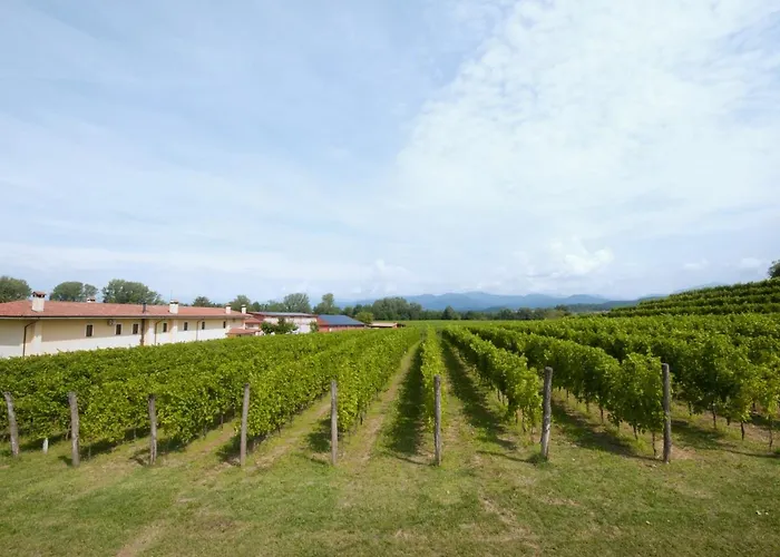 Agrituristico Corte San Biagio Bed & Breakfast 4*