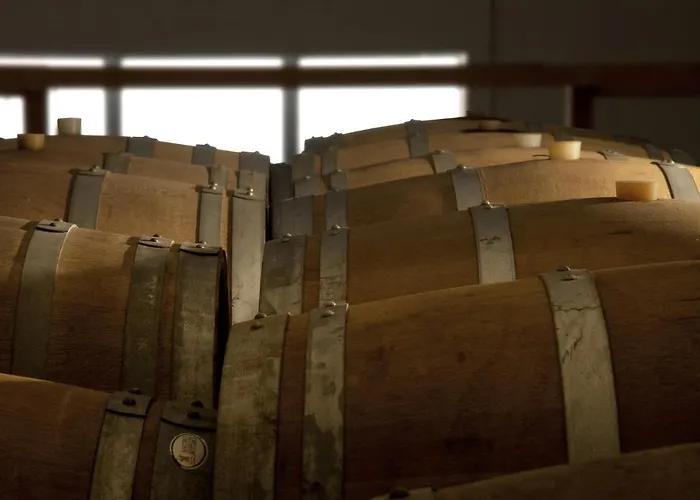 Agrituristico Corte San Biagio 4* Corno di Rosazzo