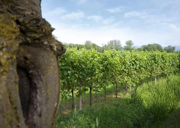 Agrituristico Corte San Biagio Corno di Rosazzo