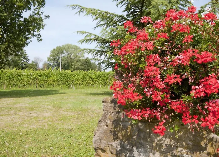 Agrituristico Corte San Biagio