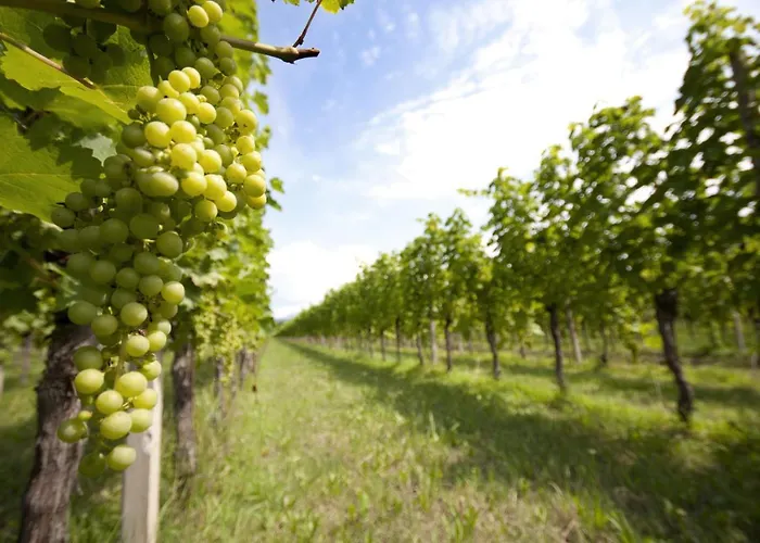 Agrituristico Corte San Biagio 4* Corno di Rosazzo