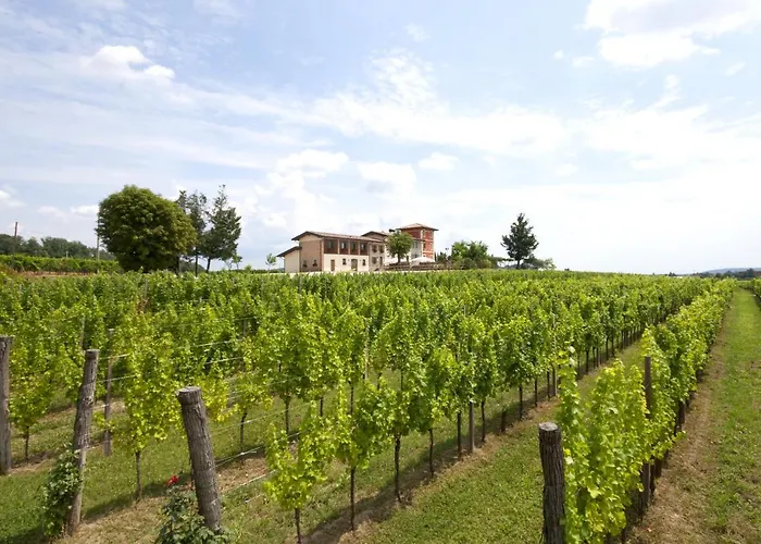 Bed & Breakfast Agrituristico Corte San Biagio